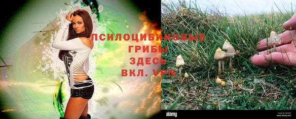 первитин Абаза