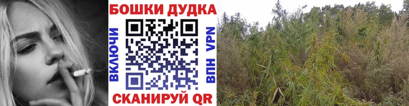 как найти mega МАРИХУАНА сатива Людиново